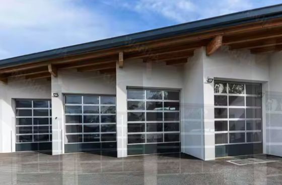 आधुनिक डिजाइन शैली जल तंगी स्वचालित काला एल्यूमिनियम फ्रॉस्टेड पारदर्शी ग्लास सेक्शनल गैराज दरवाजा सेक्शनल डिजाइन के साथ